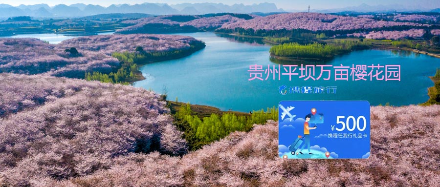 沃尔玛礼品卡